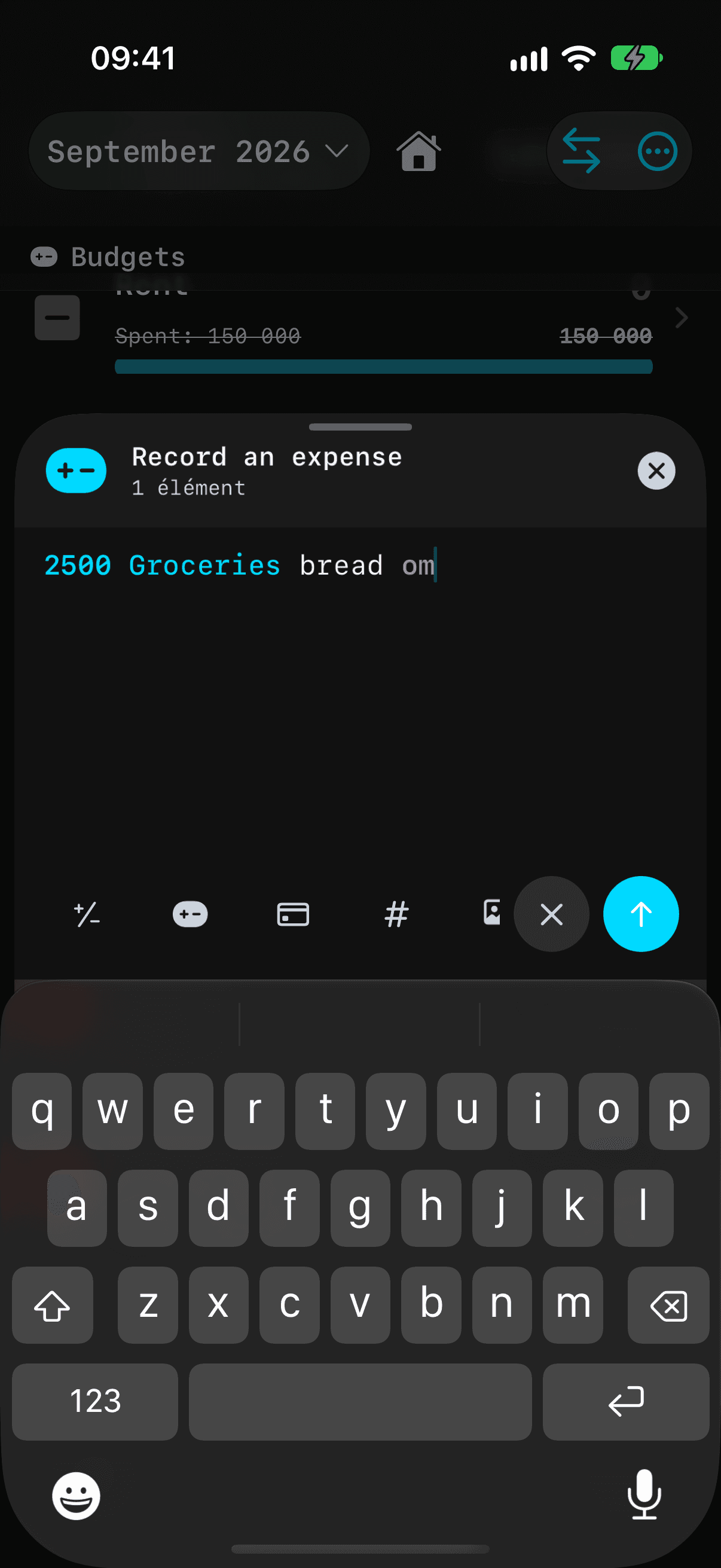 Expense entry