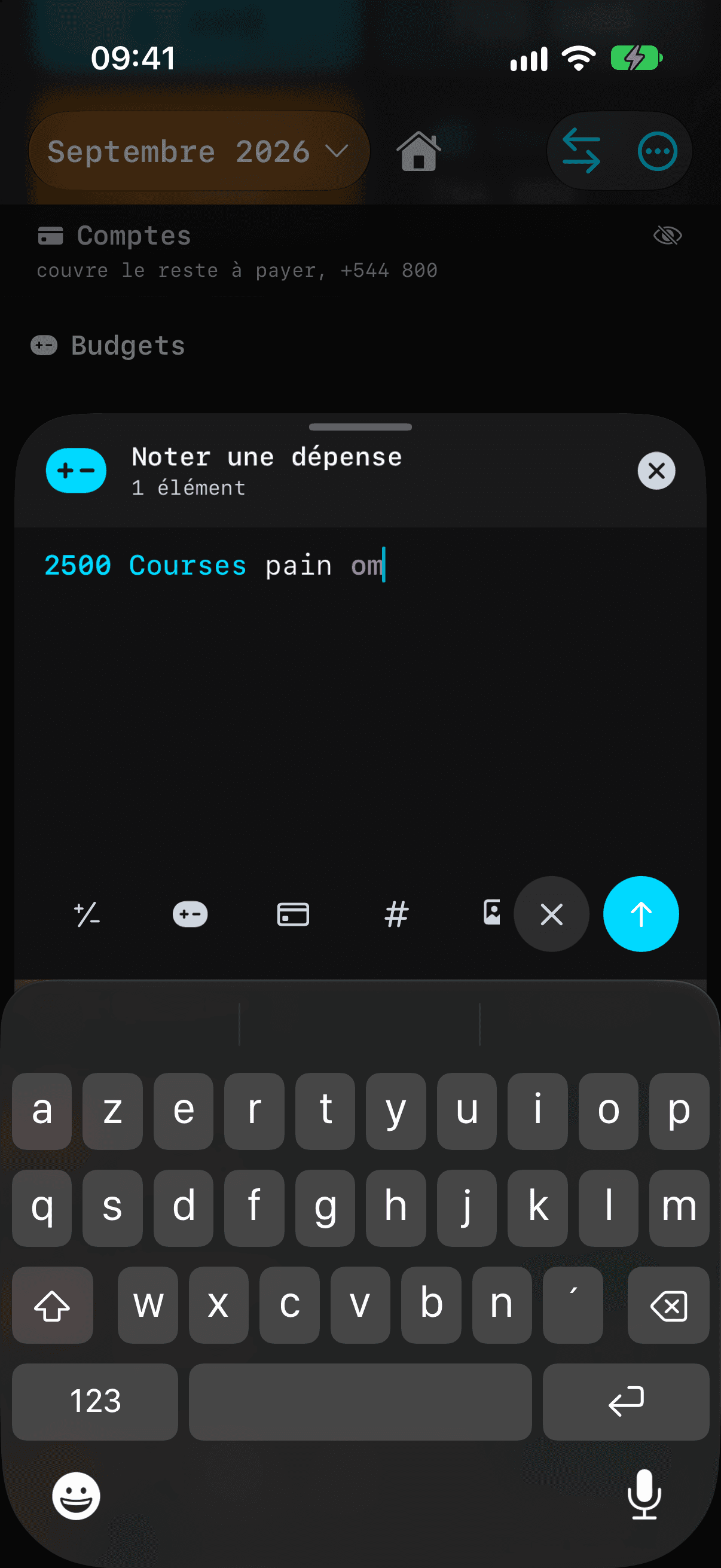 Saisie d'une dépense