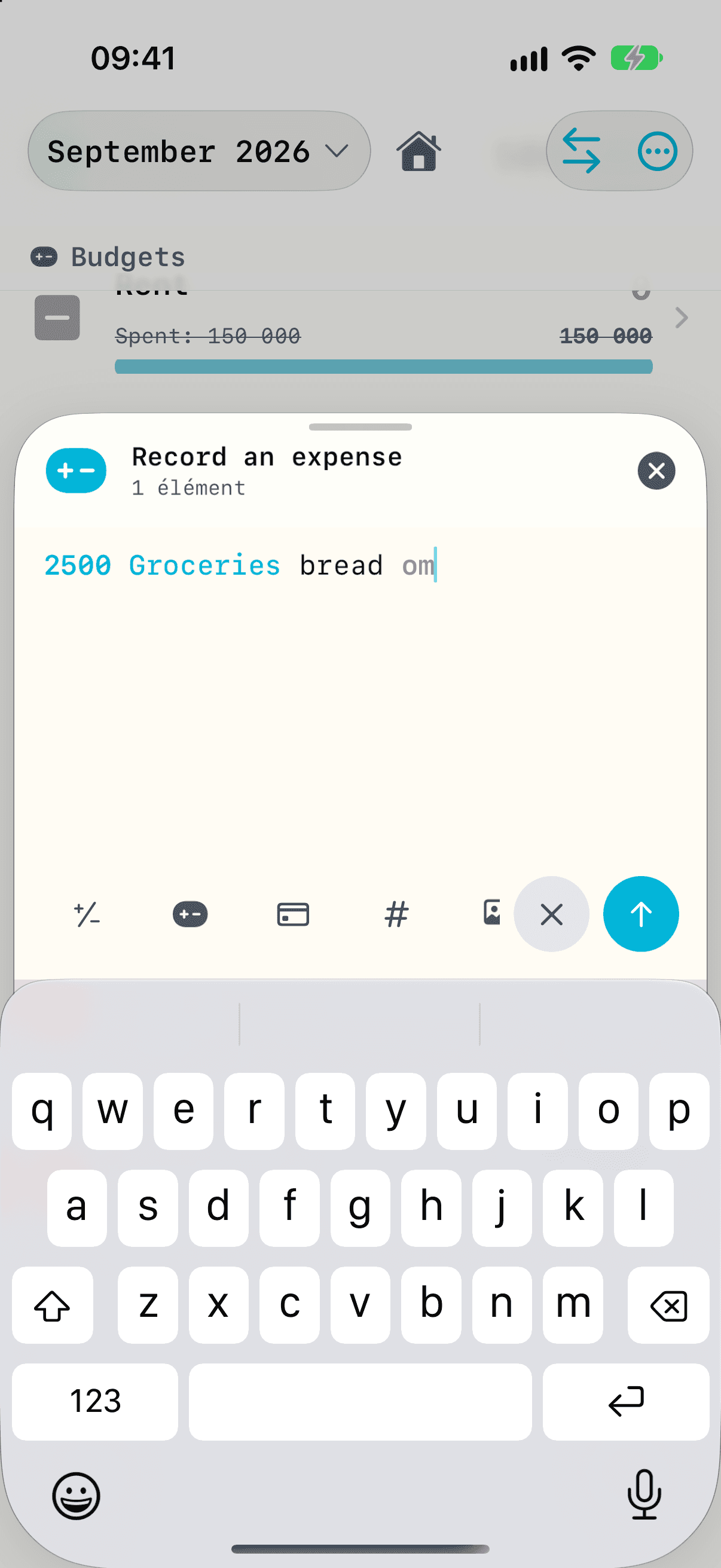 Expense entry